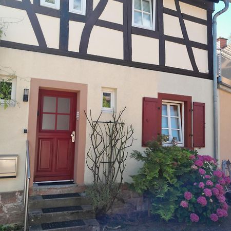 Ferienwohnung Piccolino Jockgrim Esterno foto